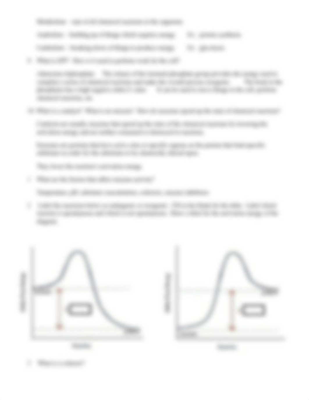 BIOS 101 - SI Worksheet #8 - Key.docx_di6ciwykrq1_page2