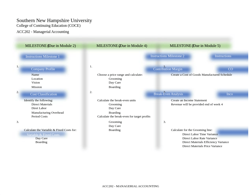 ACC 202 Final Project Workbook.xlsx_di6ifq9l46k_page1