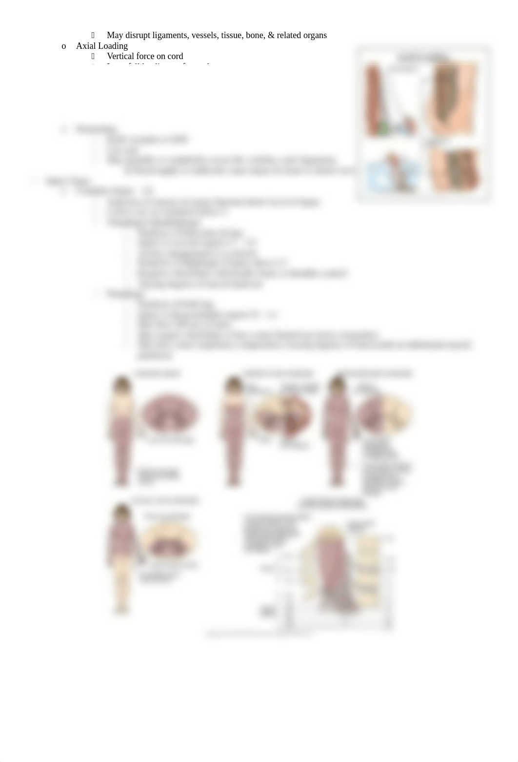 Spinal Cord Notes.docx_di6pdeunhwc_page3