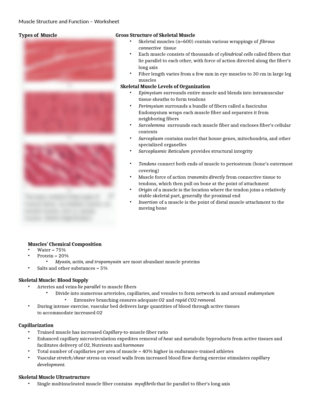 Muscle Structure and Function Worksheet.docx_di6uam4ggyh_page1