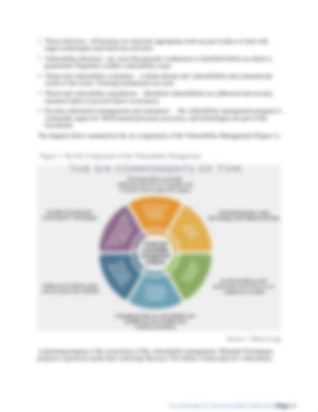 Project 1 - Vulnerability Management Process Memorandum.docx_di6uhyq9i9j_page2