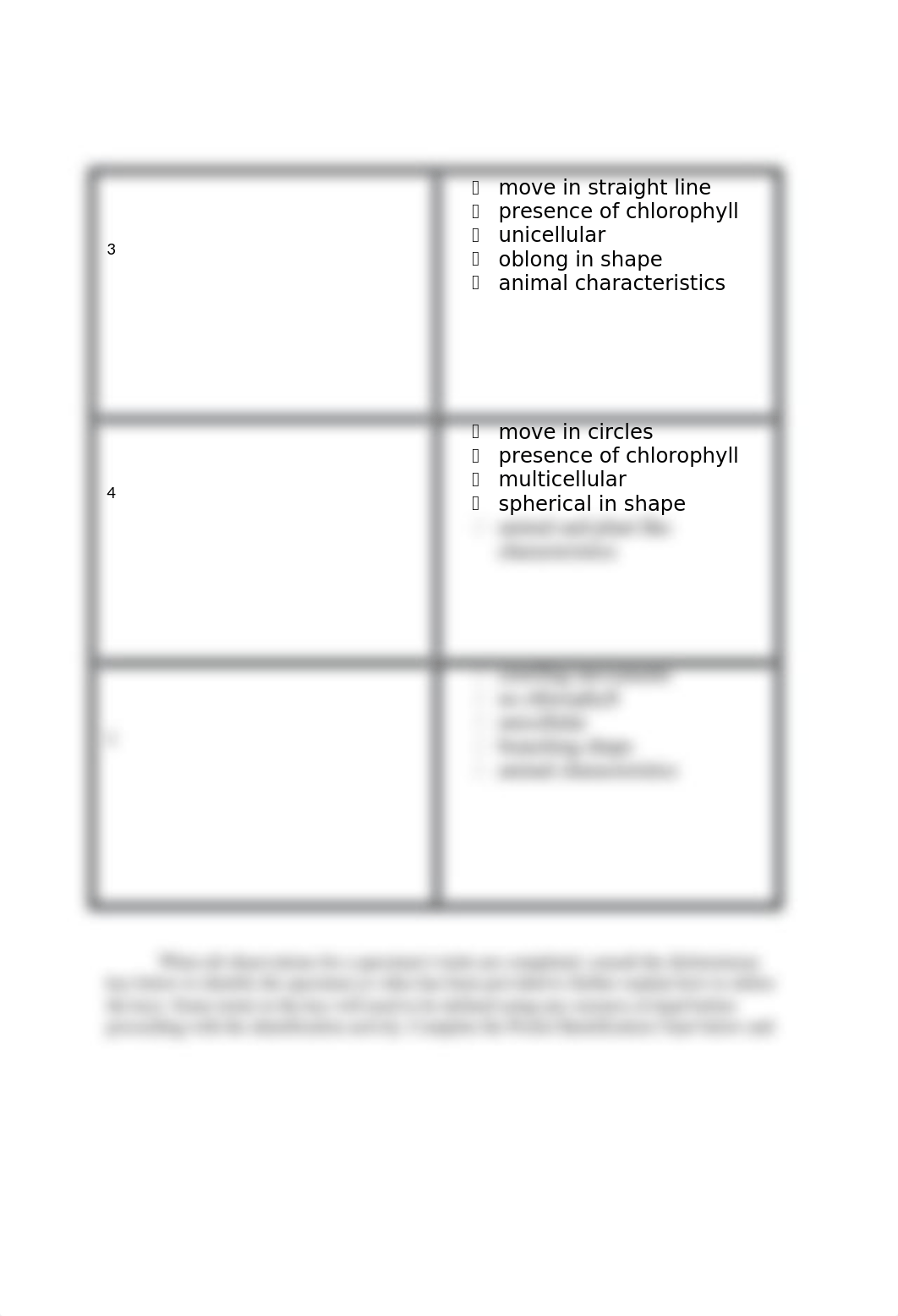 Virtual Protist Identification Lab-1.docx_di6wve1zjv5_page2