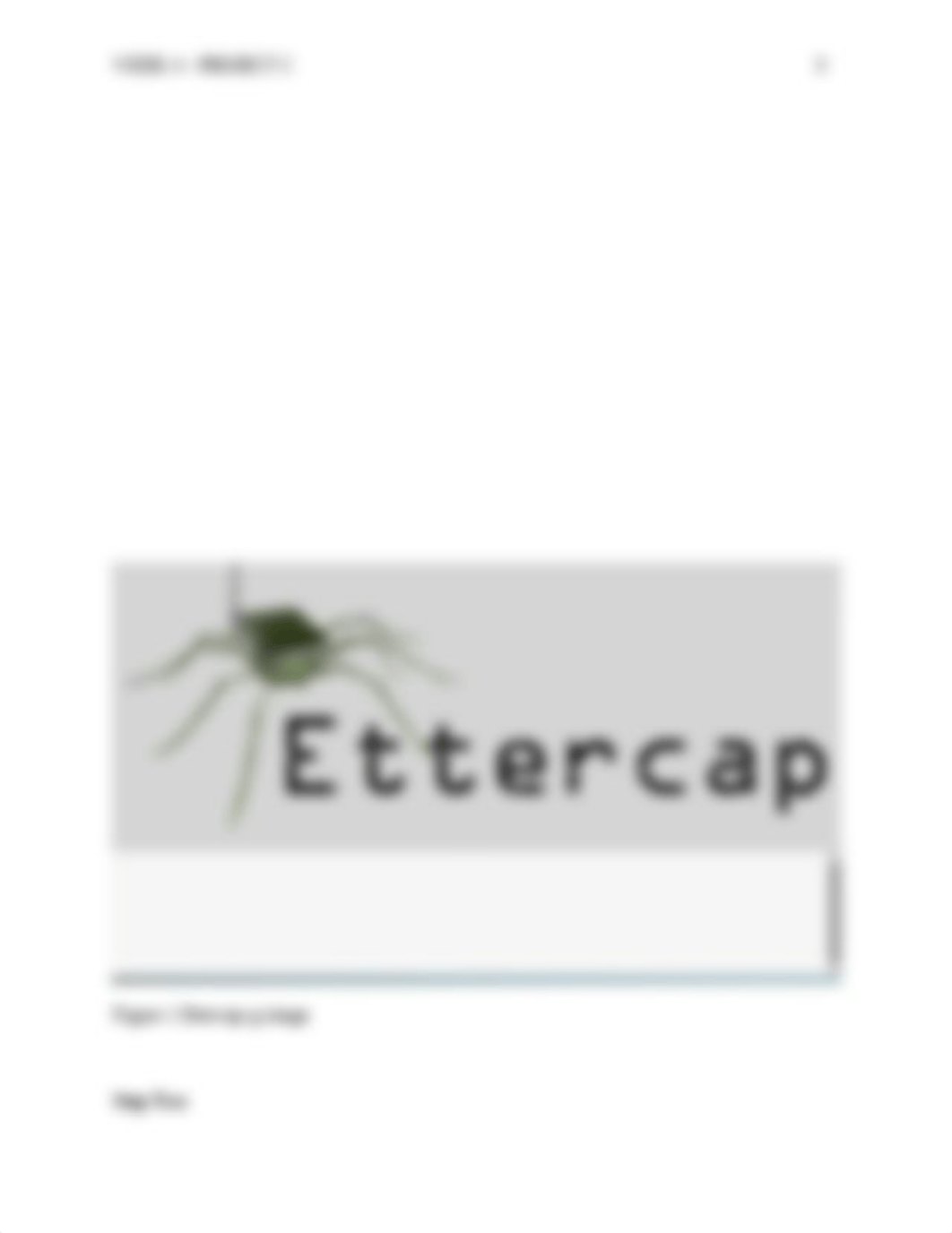 Ettercap-lab.docx_di70ynxyqxm_page3