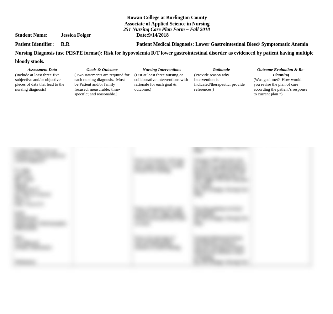 NUR 251 Patient Care Plan Risk for volume deficit.doc_di776qg6bwm_page1