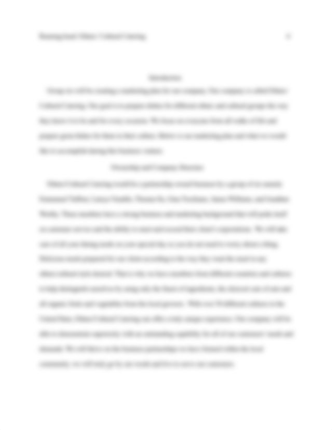 Ethnic and cutural marketing plan.docx_di7cr0zbpr5_page4