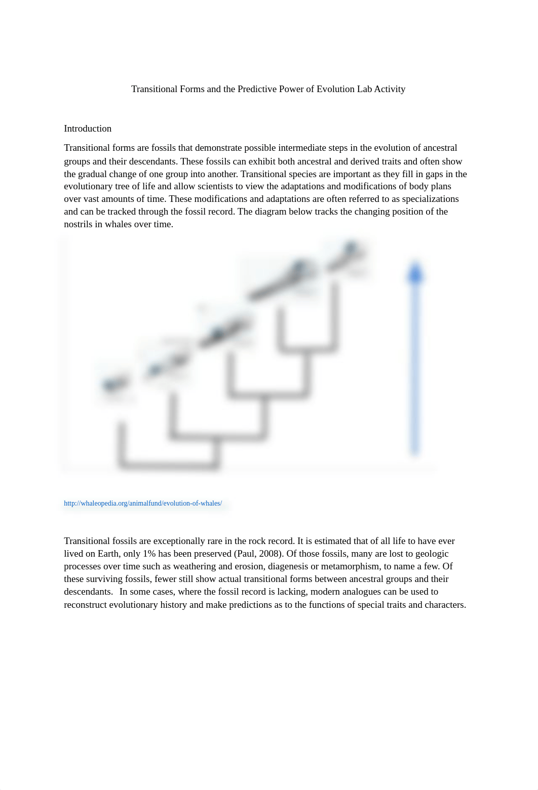 trans_fossils_lab.docx_di7fjlhkxi8_page1