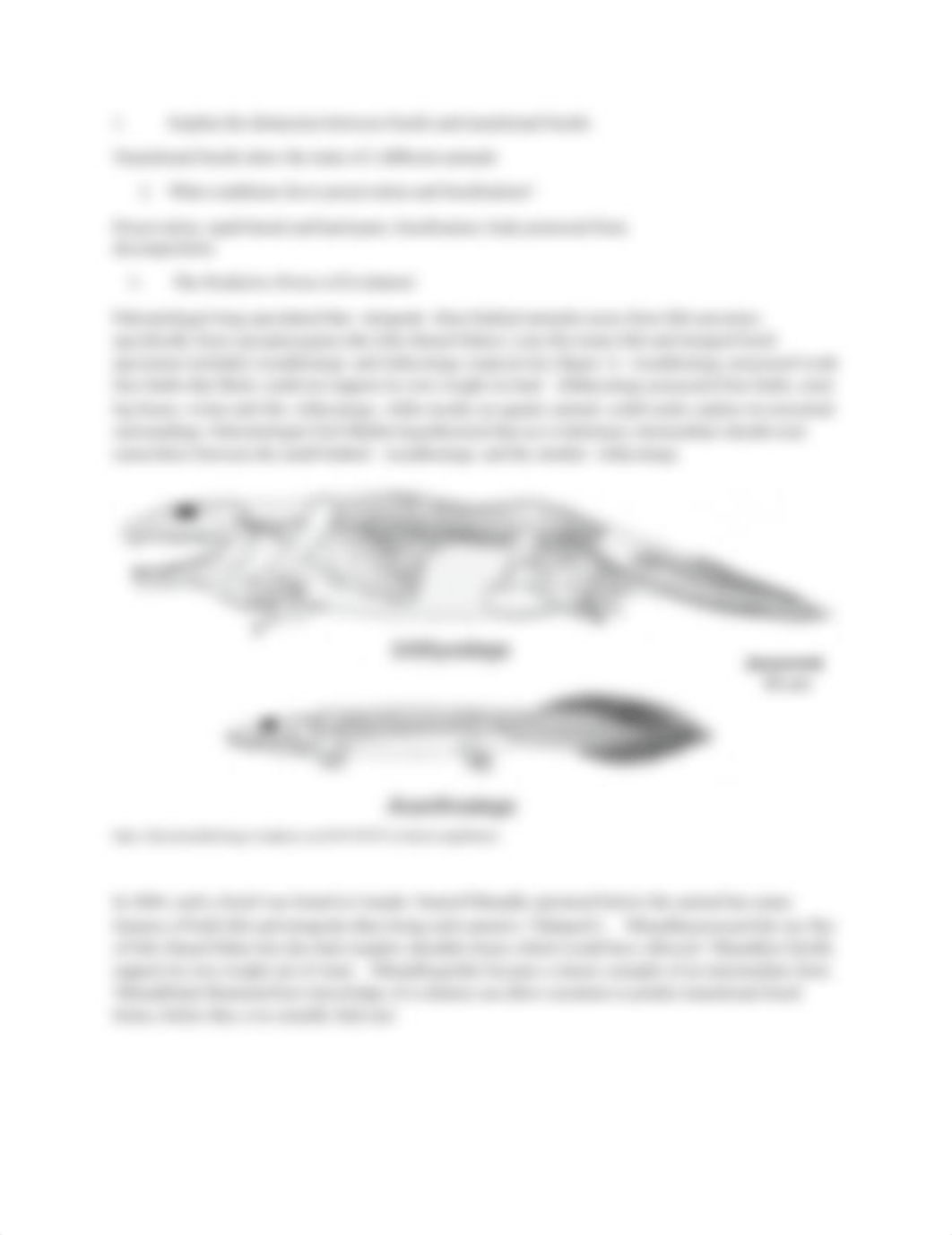 trans_fossils_lab.docx_di7fjlhkxi8_page2