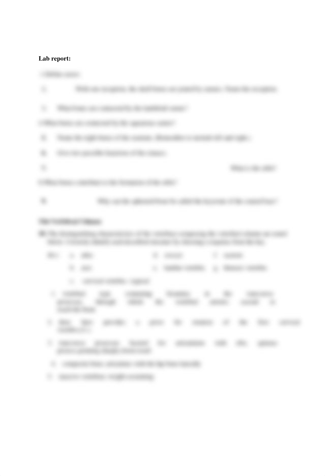 Axial skeleton (1).doc_di7pbtvtd23_page2