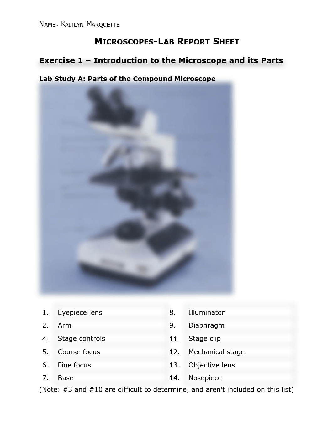 K. Marquette Microscopes Lab 5.pdf_di7tlnd1nbl_page1