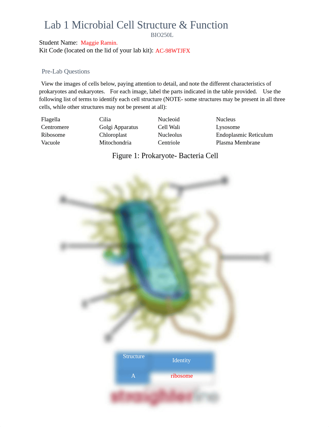 Lab 1.docx_di80l3elcu4_page1