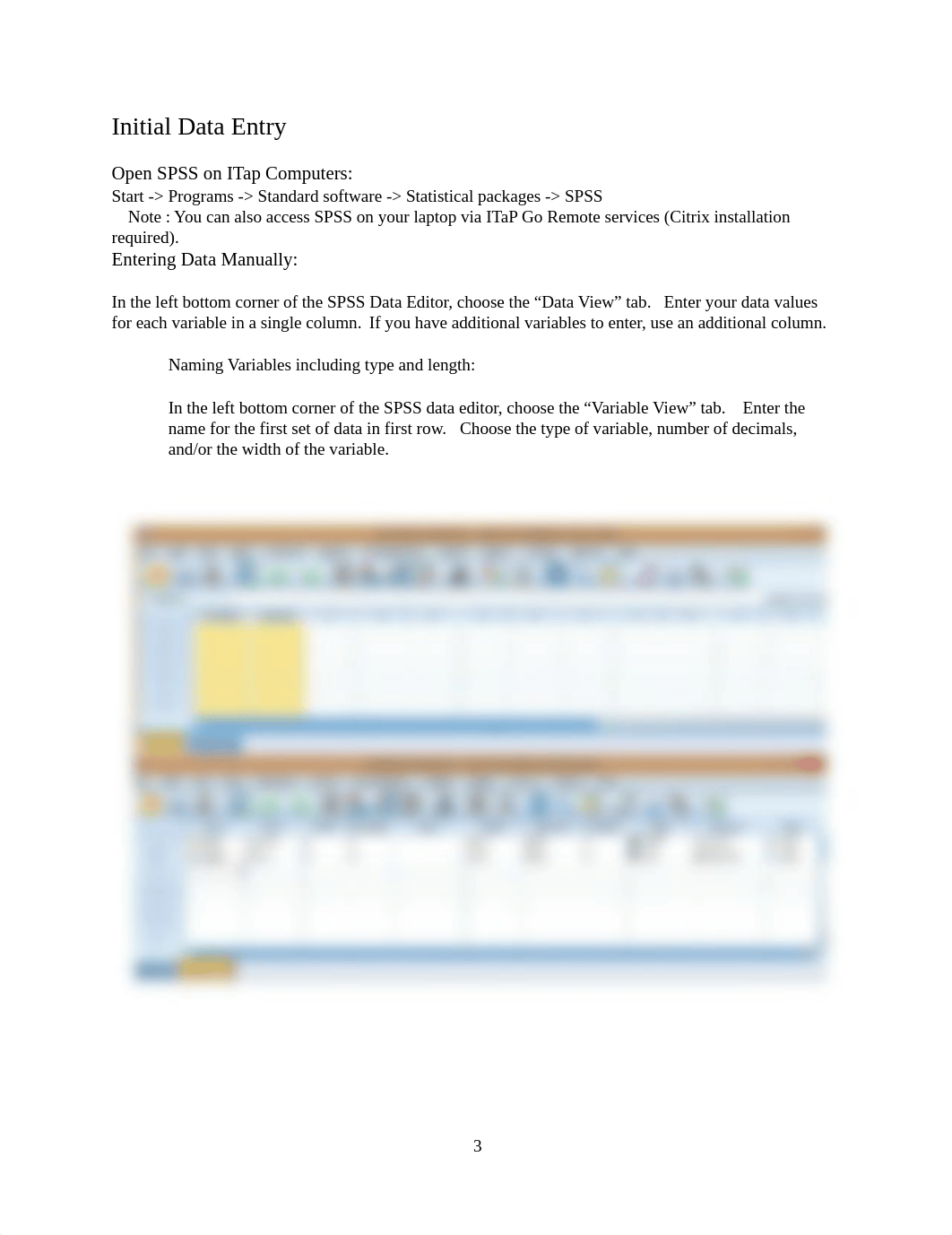 SPSS Instruction Manual_Final_Spring2022.pdf_di8233i3d56_page3
