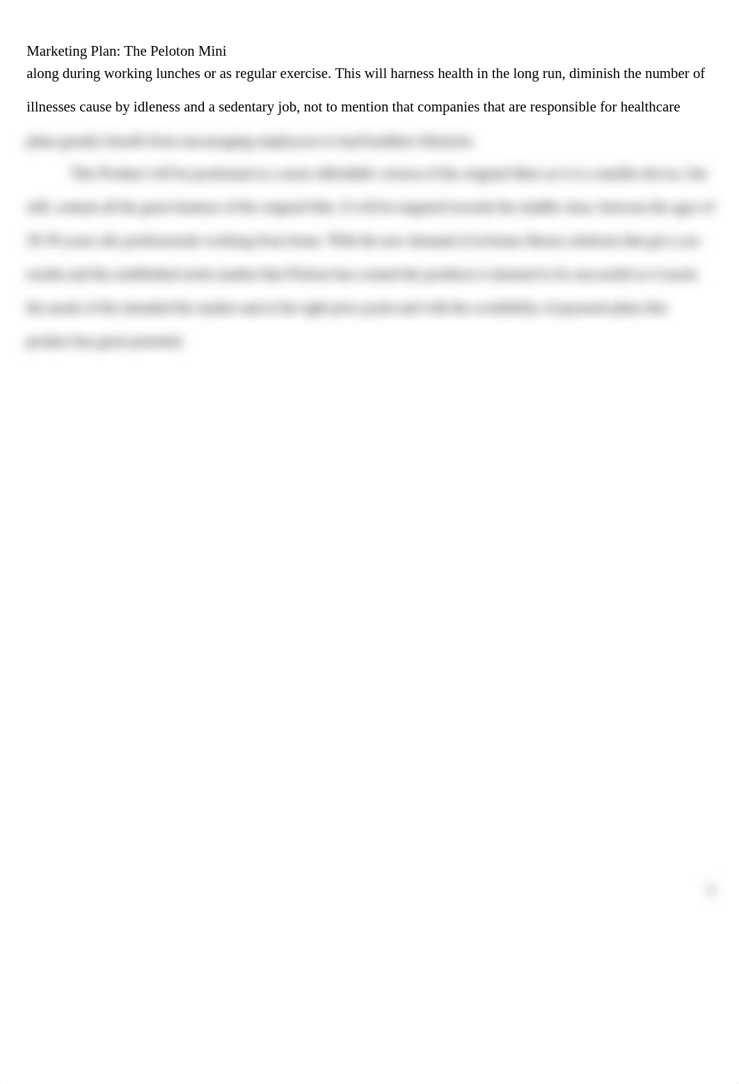 Marketing Plan - Guilian Prince- final.docx_di84a4azteq_page3