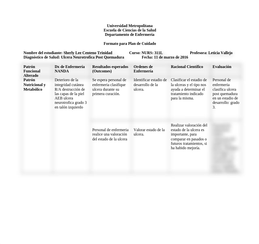 Formato del Plan de Cuidado-Ulceras Neurotroficas.docx_di8dkcnihes_page1