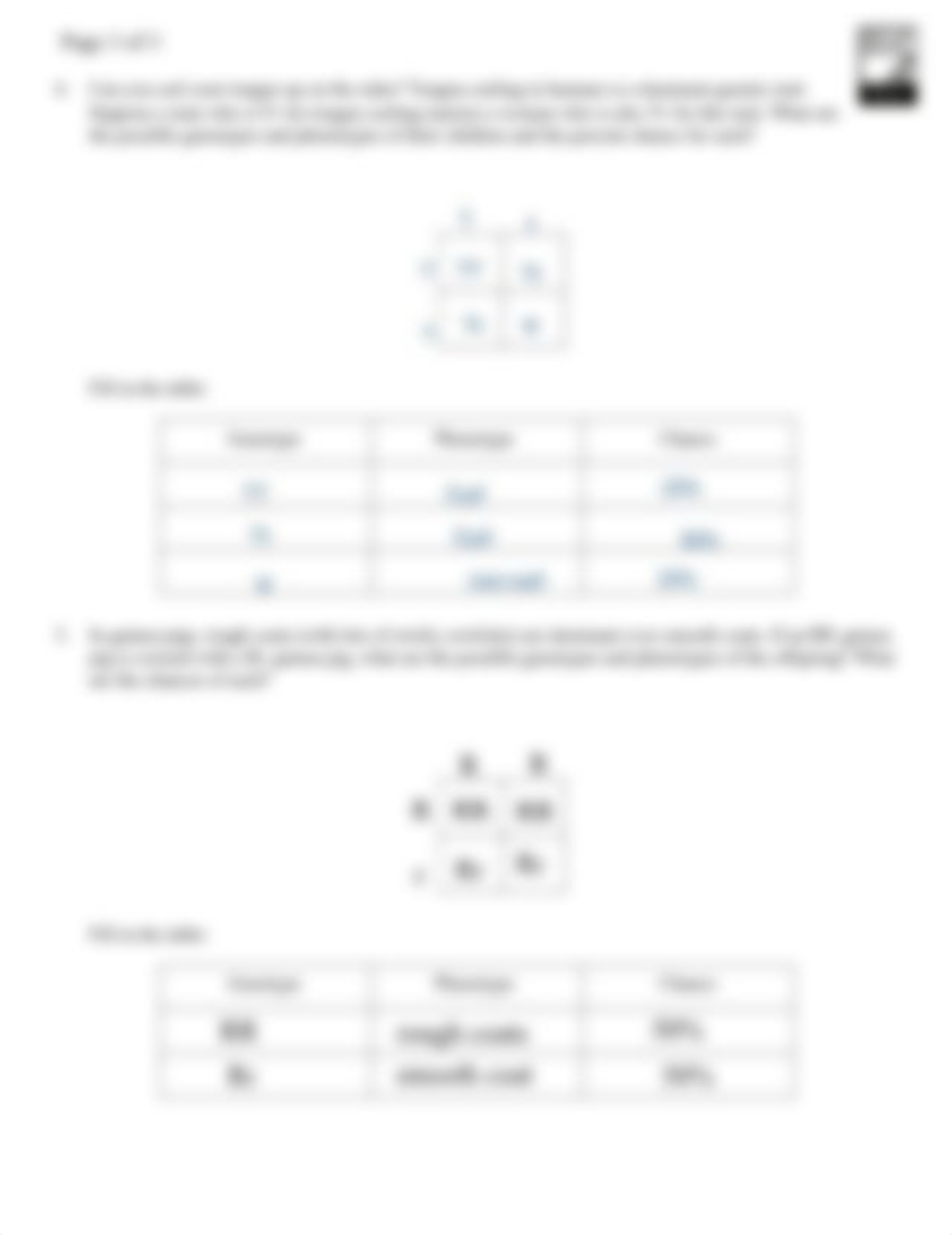 Symone_Pugh_-_Punnet_Square_Introduction_Practice.pdf_di8mn0hyujl_page3