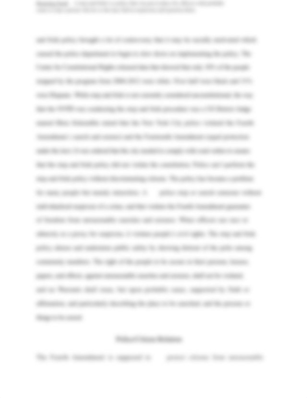 The Stop and Frisk Policy.docx_di8vcj8pfsv_page3