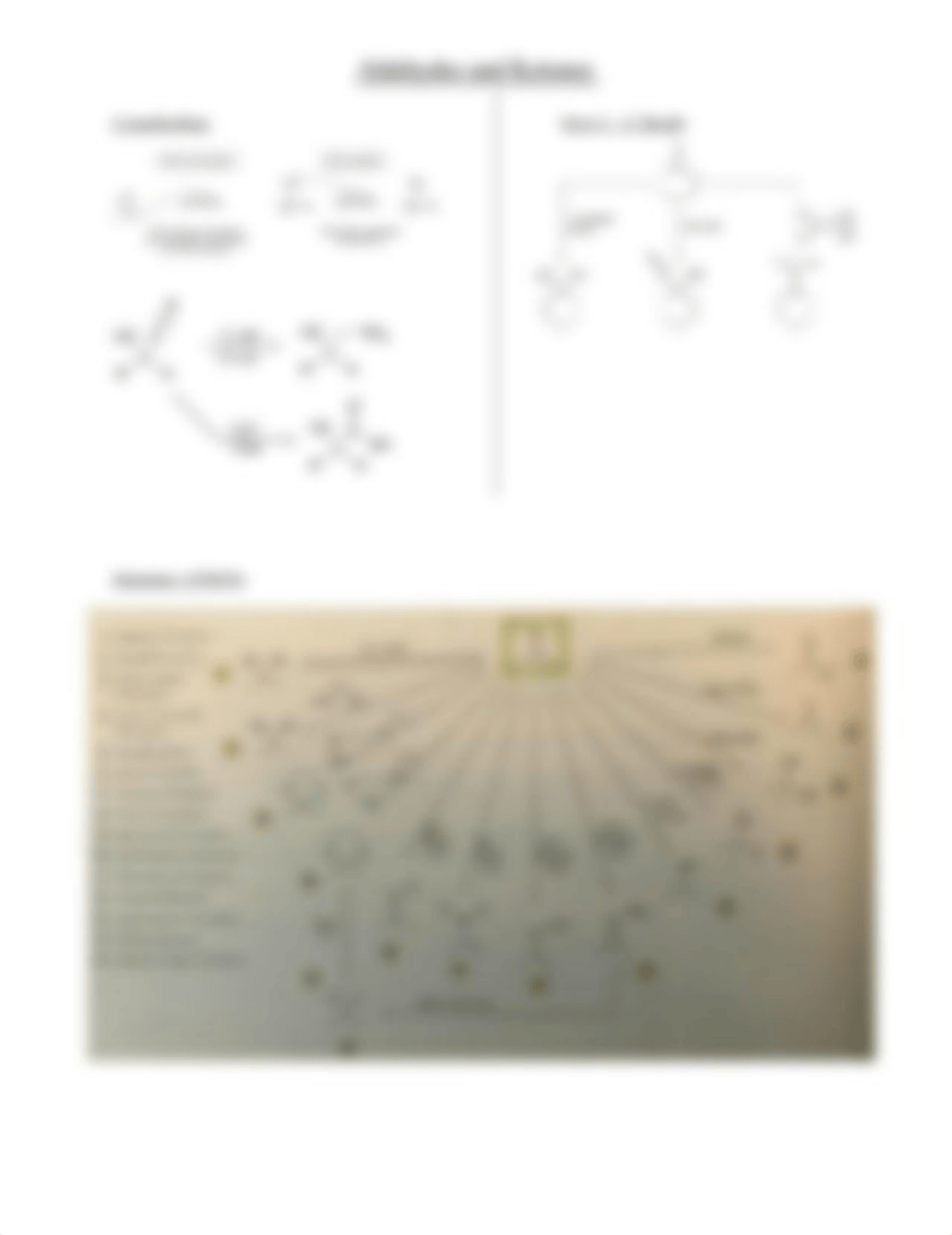 Aldehydes and Ketones.docx_di8zmdyg32y_page5