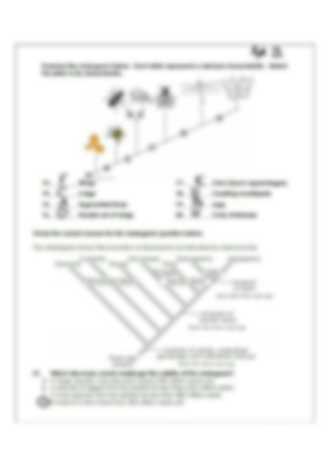 Cladogram 4_LI.jpg_di9526s8lpn_page1