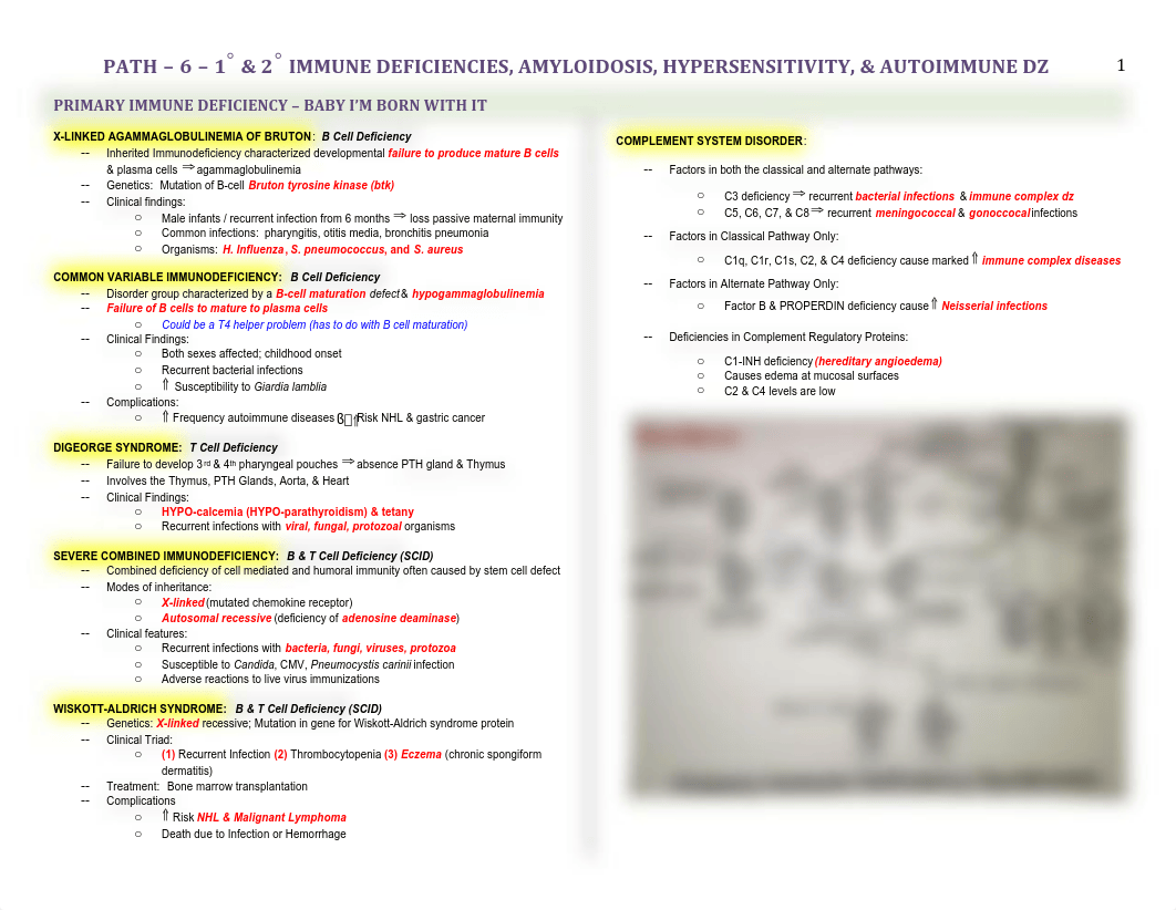 Path - 6 - Immuno Stuff - BL_di9bxgsxu8s_page1