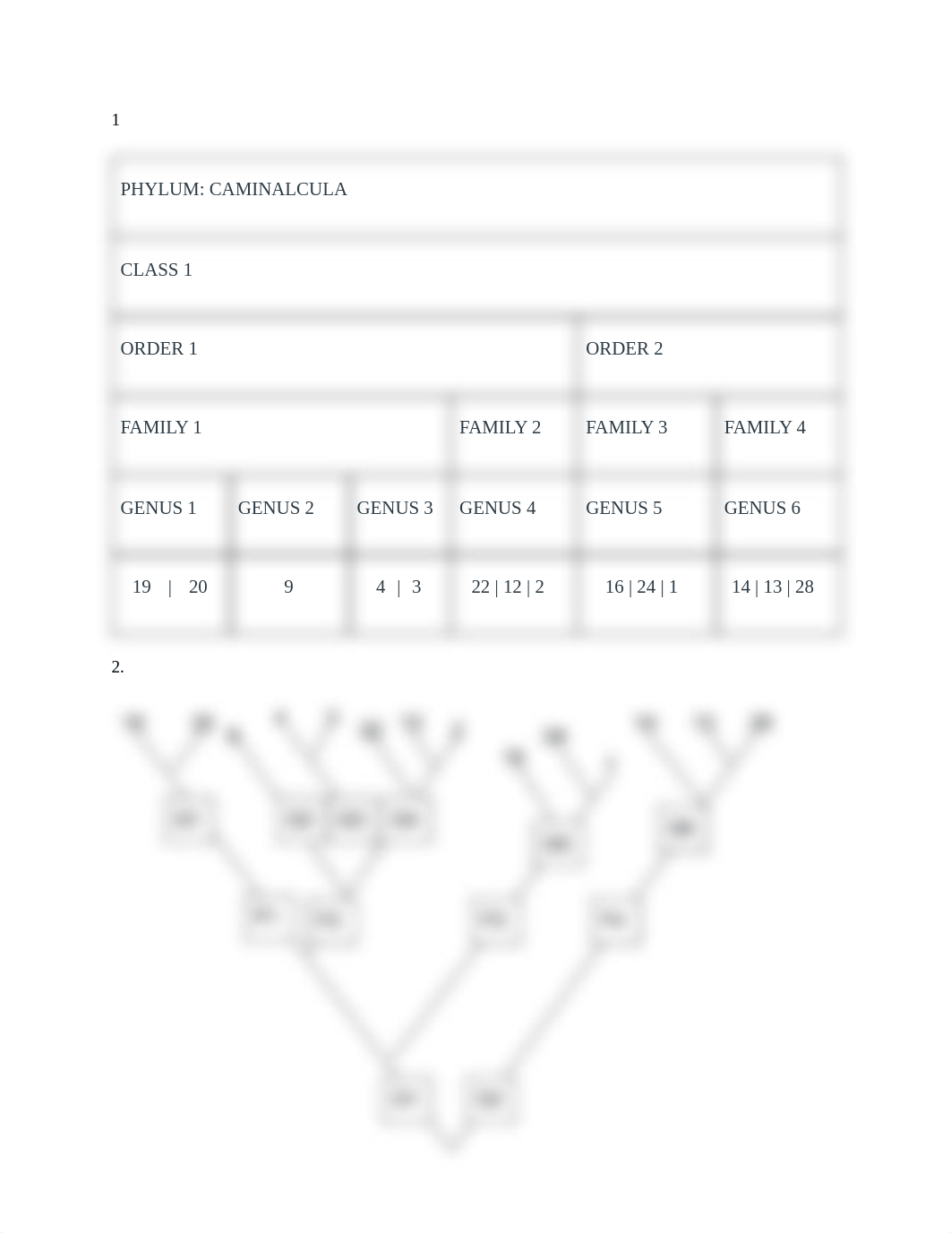 Lab 2_ Caminicules.pdf_di9f7mlna5c_page1