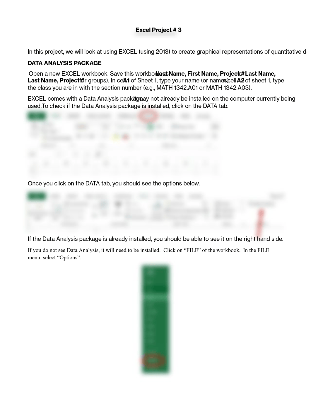 Excel Project 3.pdf_di9ip3oa6lz_page1