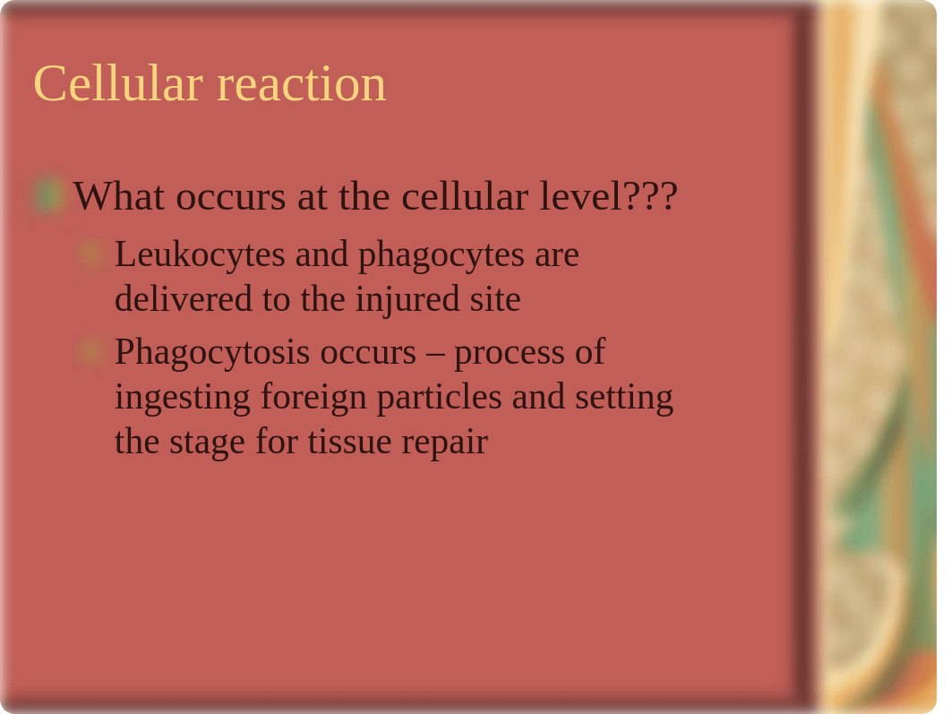 Tissue Response to Injury Anatomy Notes_di9ljvq4p91_page5