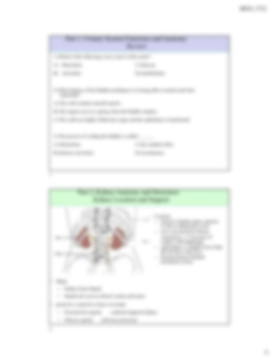 Urinary System Printable Fa19.pdf_di9oblwyp8e_page4