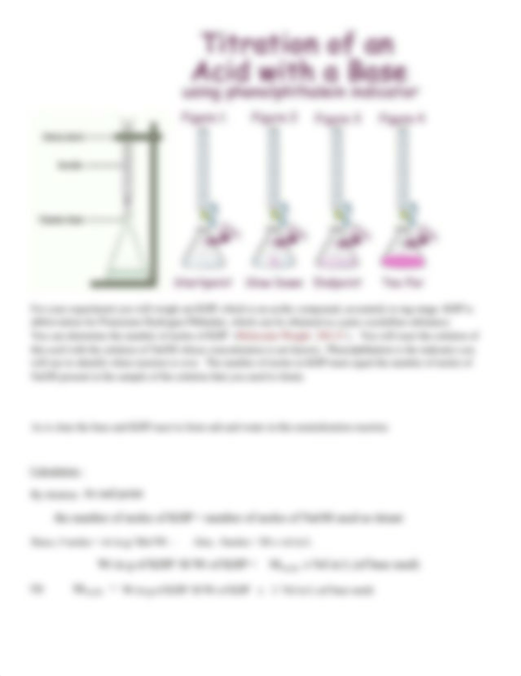 Potassium Hydrogen Phthalate titration.docx_di9sniay2o7_page2