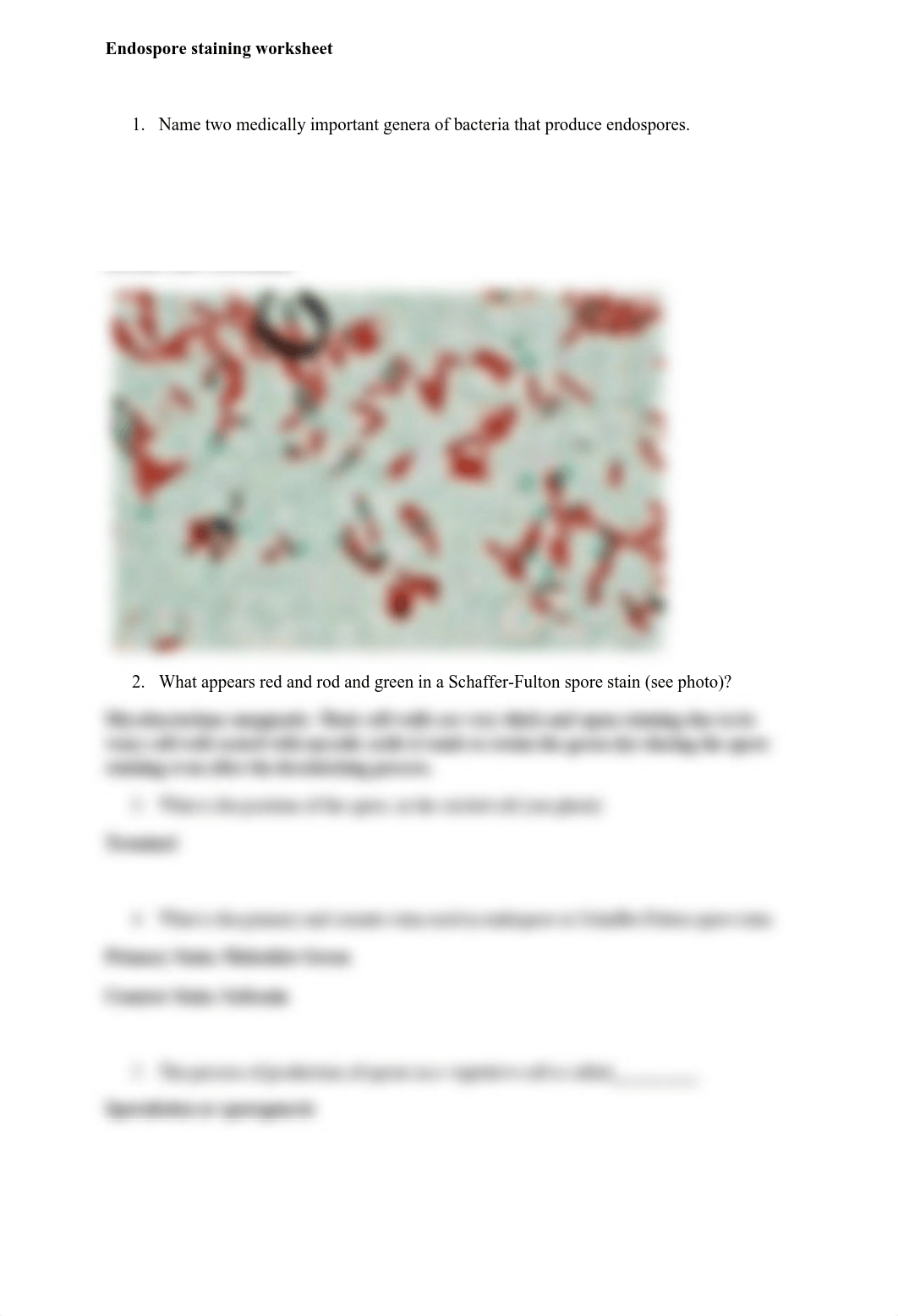 Endospore staining worksheet.pdf_dia3e3nk9rm_page1