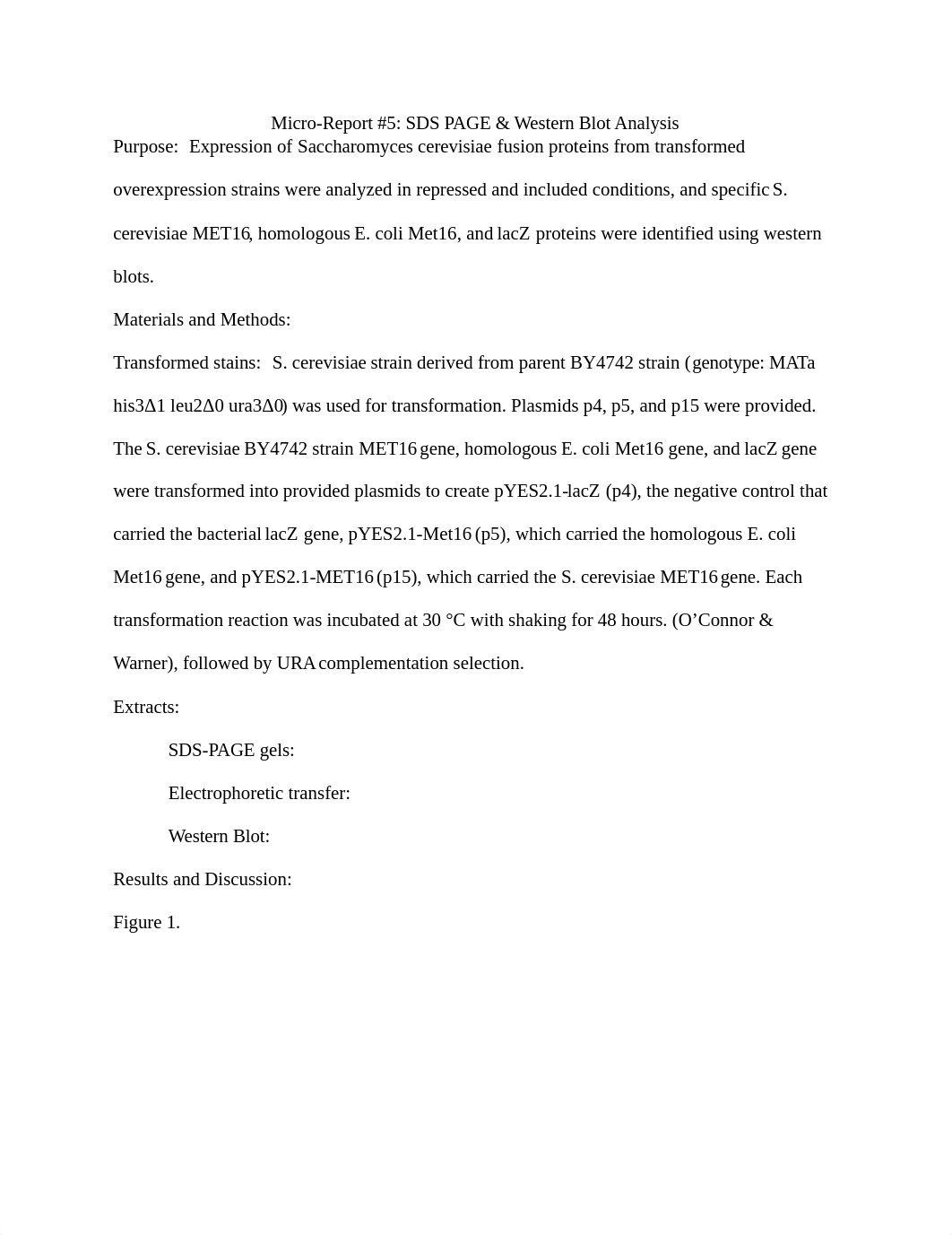 Micro-Report #5_ SDS PAGE & Western Blot_ Kila Panchot .docx_diadep75fph_page1