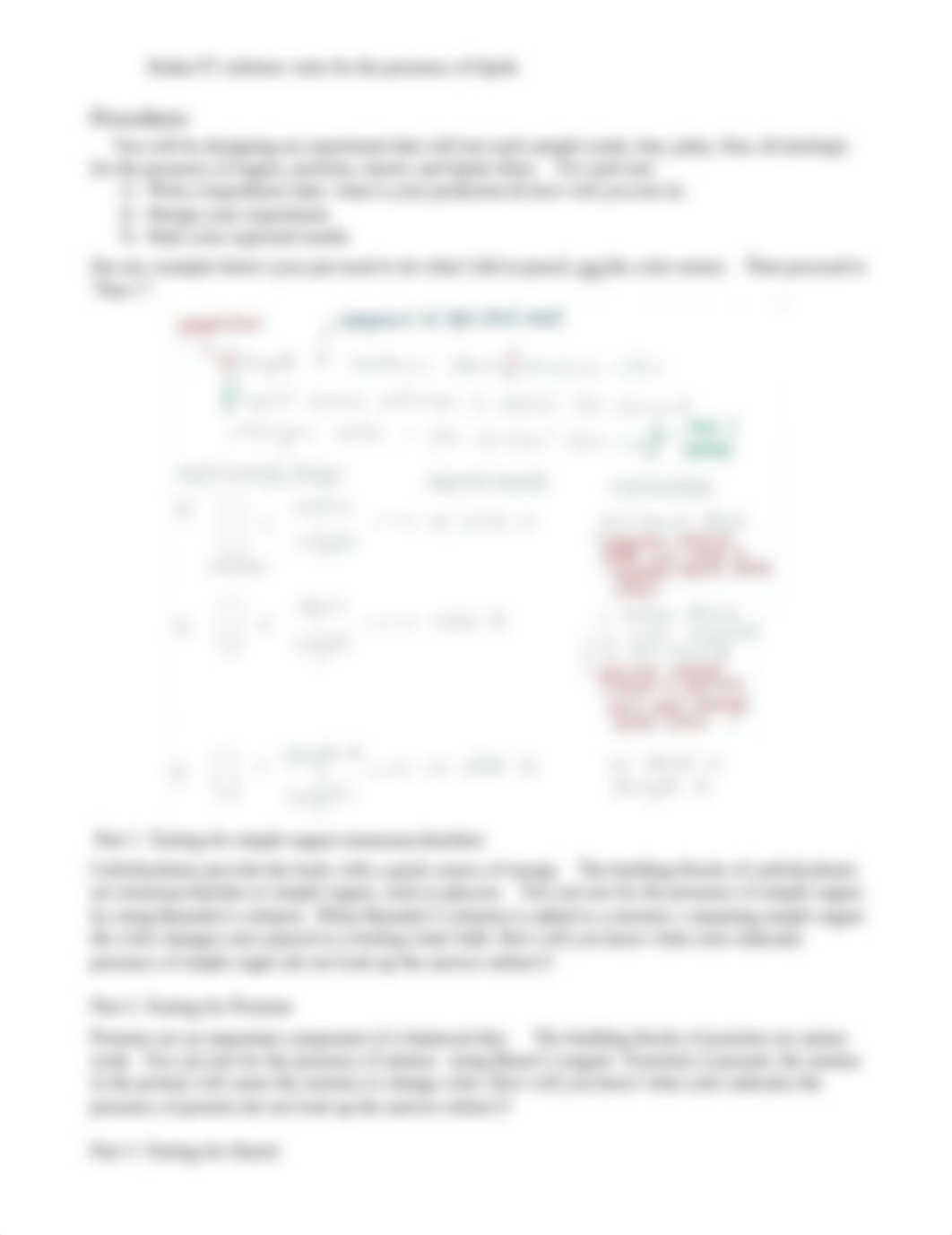 2 Testing Biological Molecules Lab.pdf_diae3i6fb9q_page2