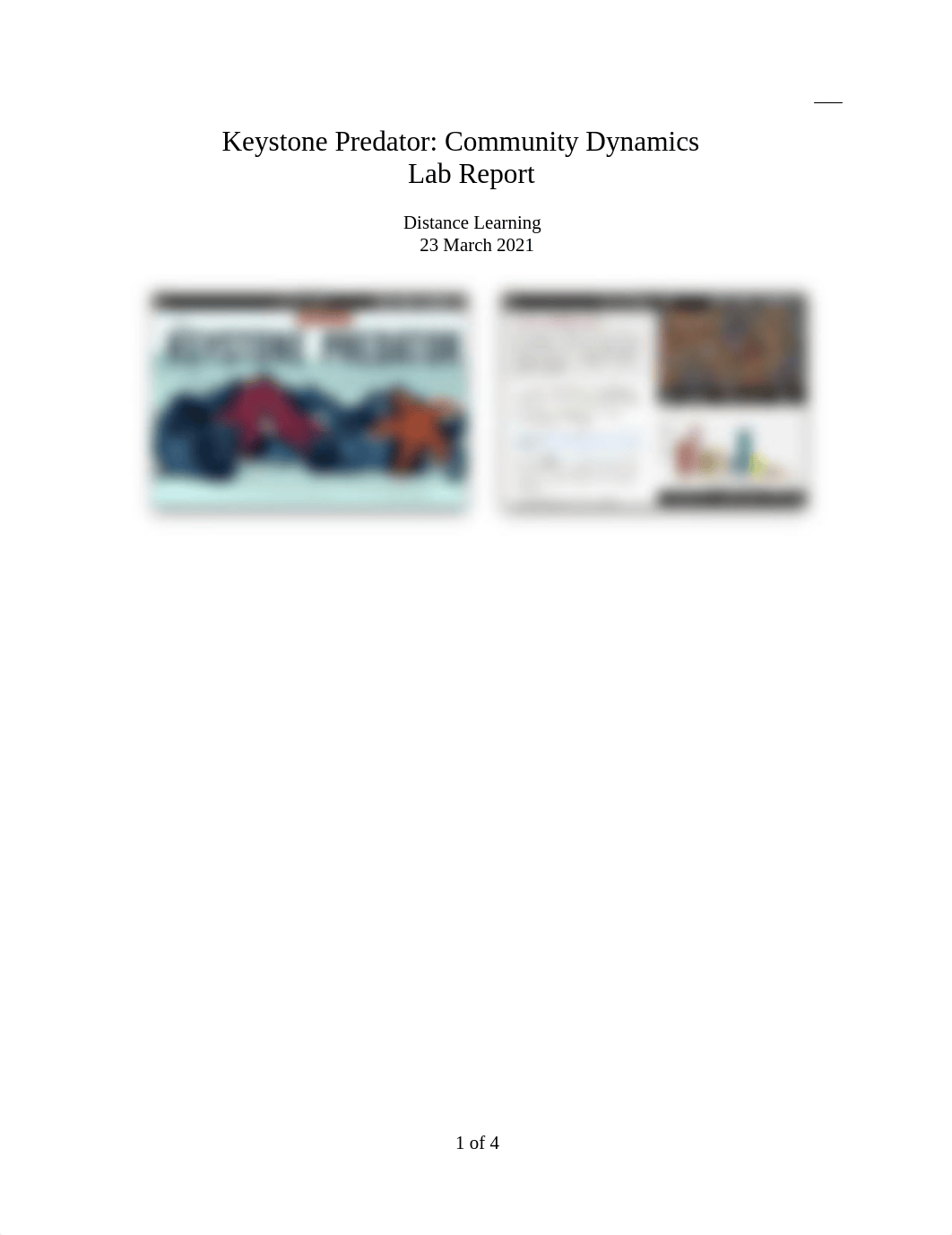 Keystone Predator Lab Report.pdf_diaoh4a0ft9_page1