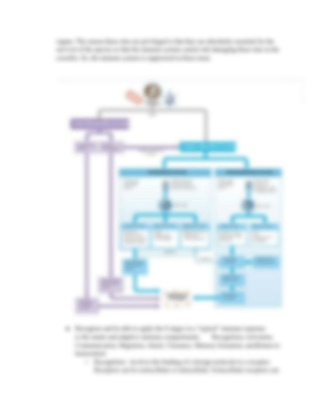 ImmunoBlock2_diap5587ibw_page4