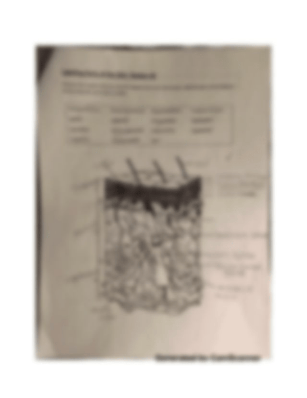 labeling parts of the skin_diap8uw8xjk_page1