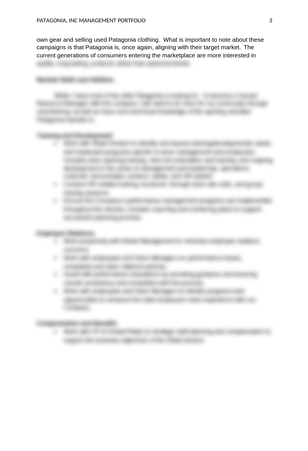 PatagoniaIncManagementPortfolio.docx_dib3g4rams2_page3