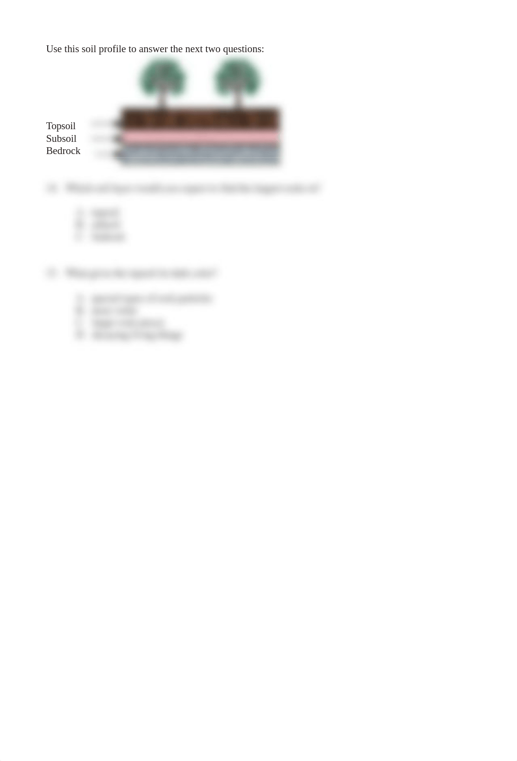 4thassess3.pdf_dib5a0w20b8_page4