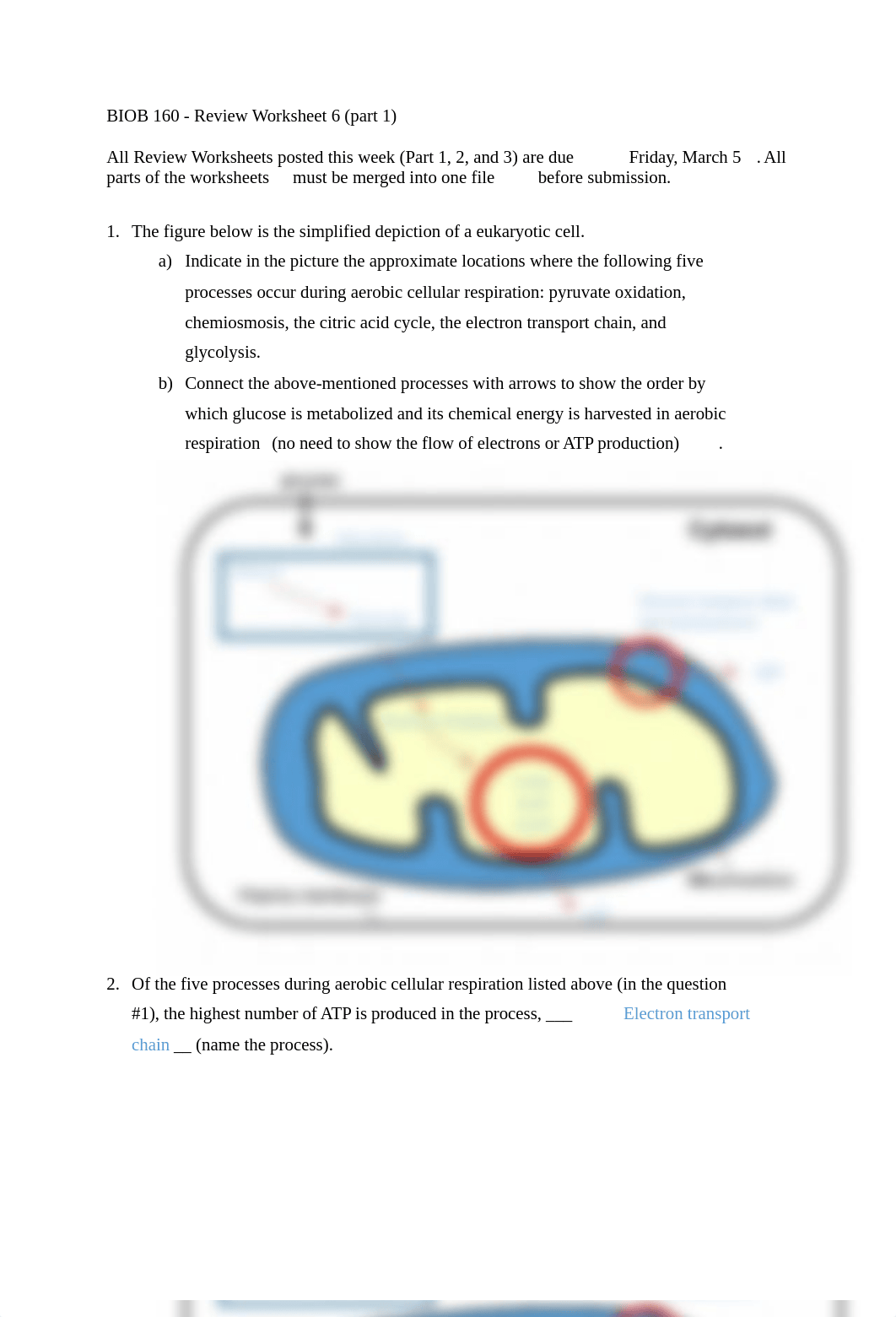 Review Worksheet 6.docx_dib5csjddf9_page1