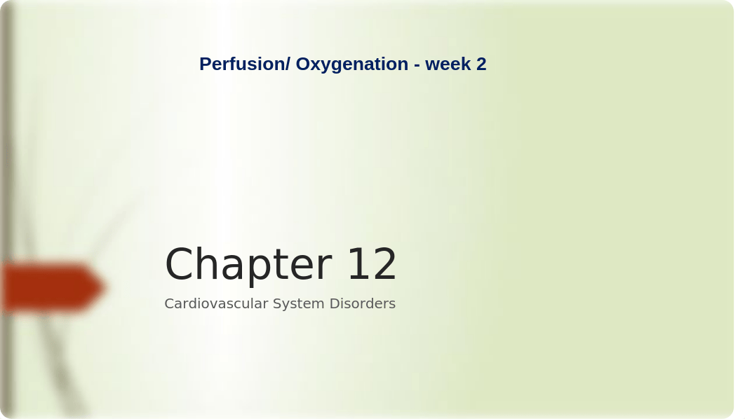 Perfusion and Oxygenation Wk2-2_dib6d5qe8my_page2