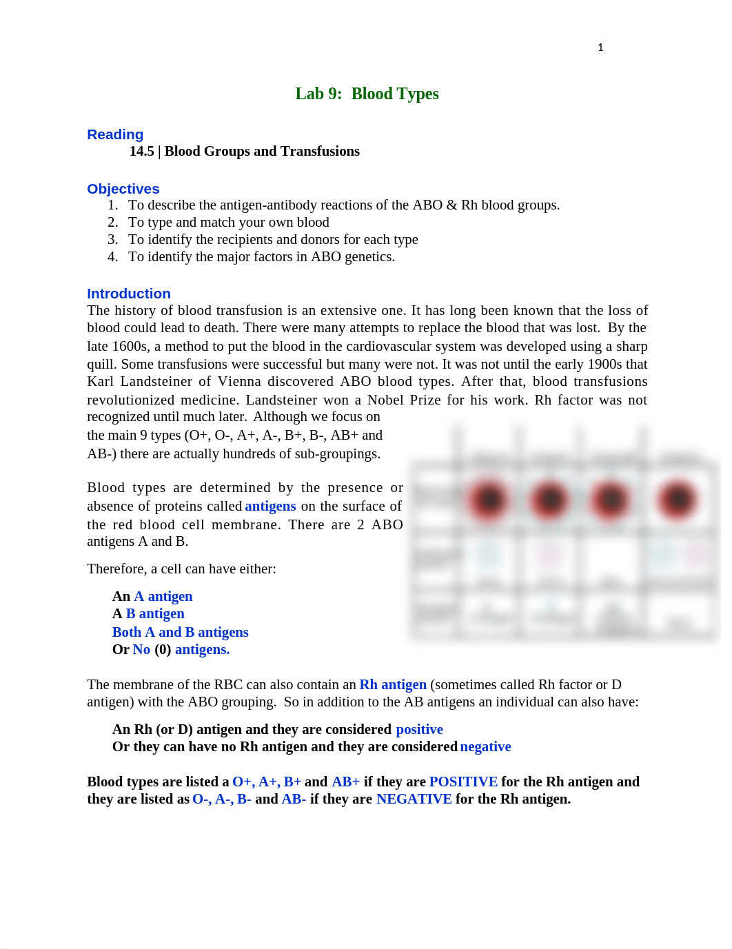 LAB 9 ASSIGNMENT.docx_dibbvq9i6ck_page1