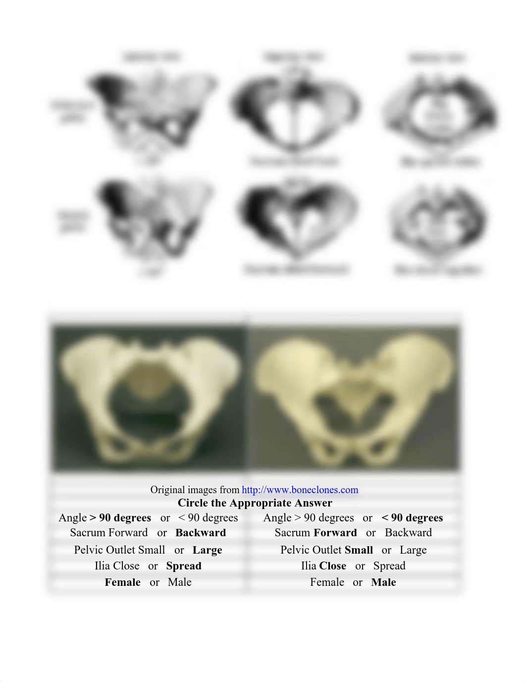 analysis_of_skeletal_remains.pdf_dibchatuocr_page2