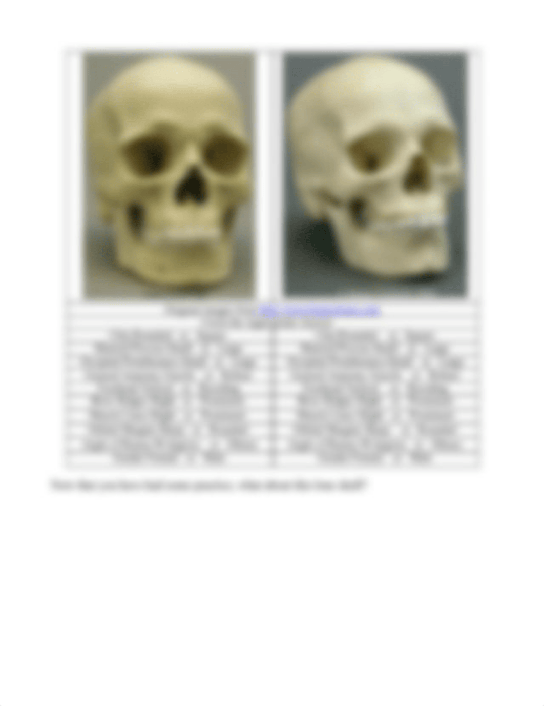 analysis_of_skeletal_remains.pdf_dibchatuocr_page4