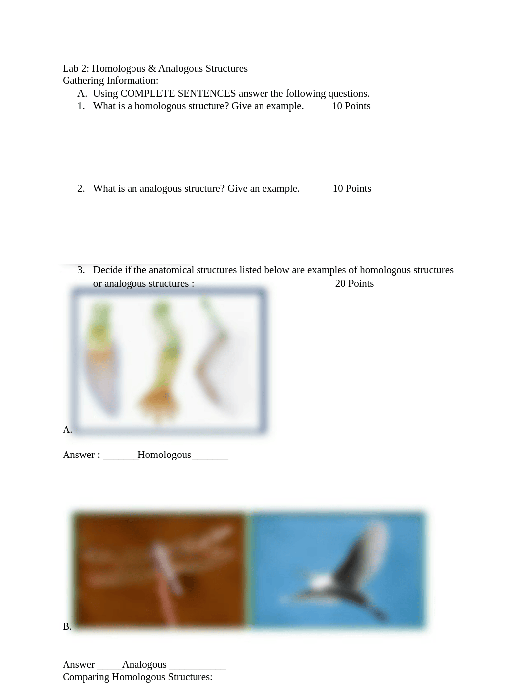 Embryology Lab 2.docx_dibxru0okhm_page1