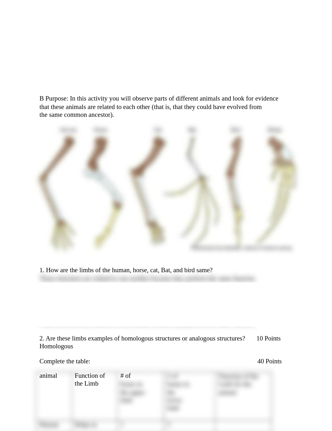 Embryology Lab 2.docx_dibxru0okhm_page2