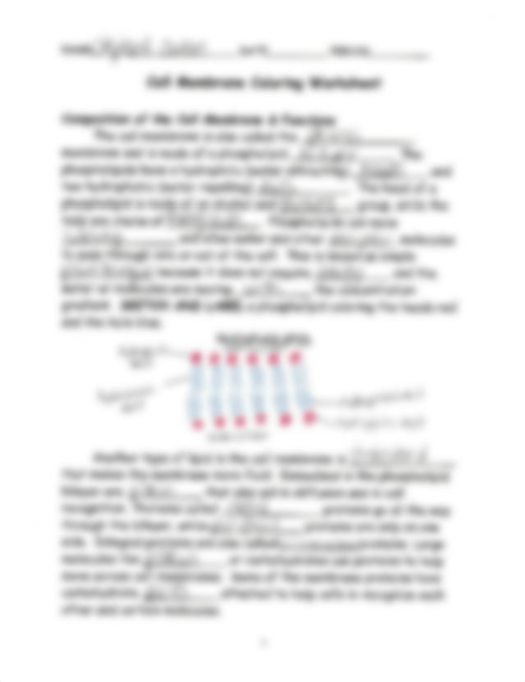 Cell Membrane Coloring Assignment Pg 1.pdf_diby12n4s18_page1