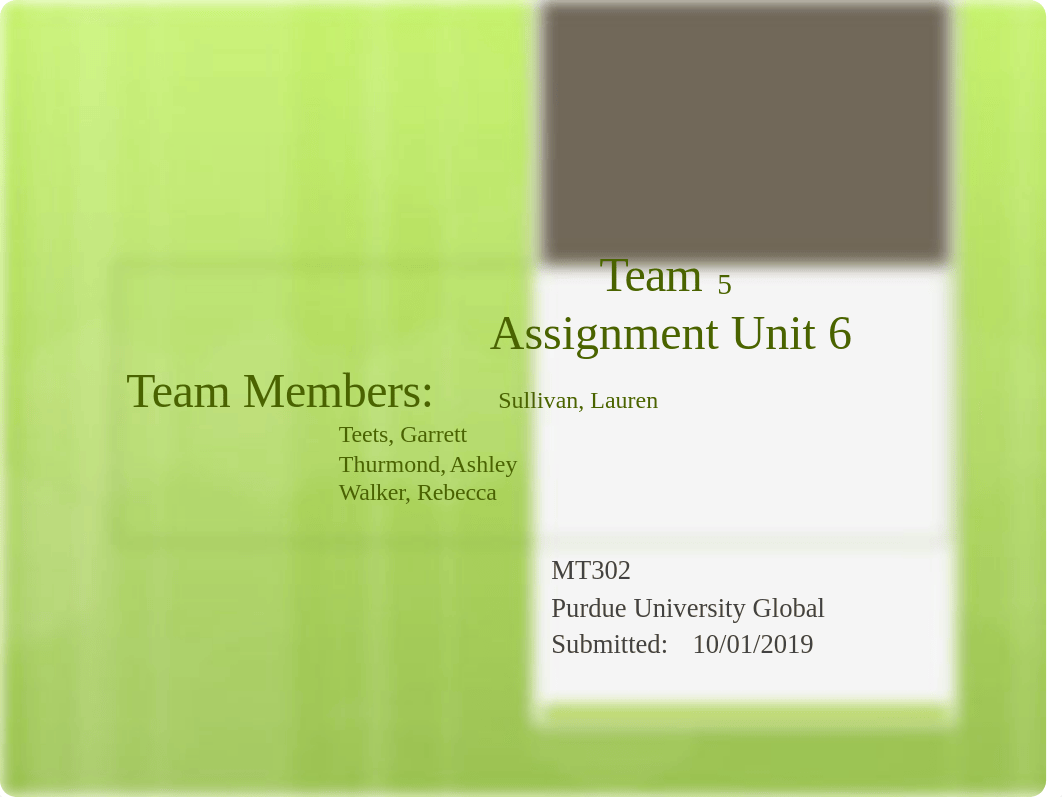 Team Assignment.pptx_dic1ju1asng_page1