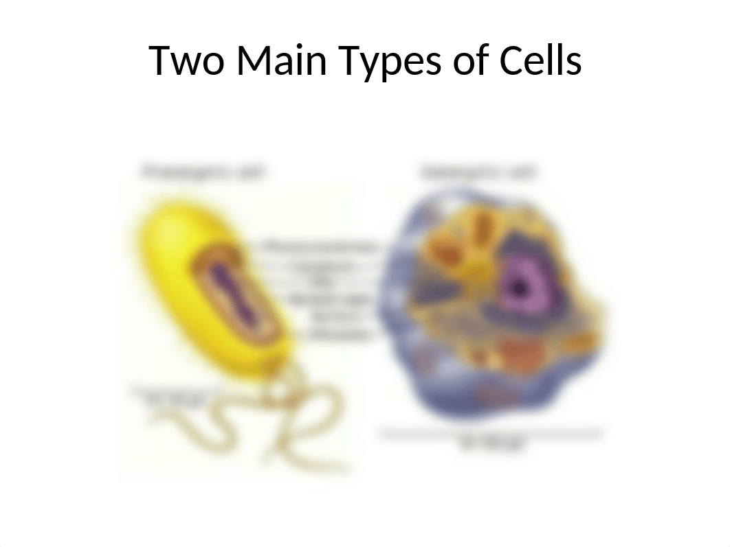 INSIDE THE CELL NOTES.pptx_dic3qy3vaqx_page3