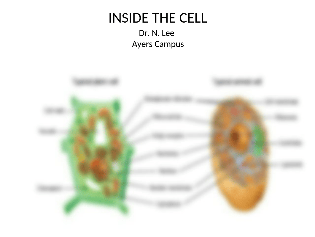 INSIDE THE CELL NOTES.pptx_dic3qy3vaqx_page1