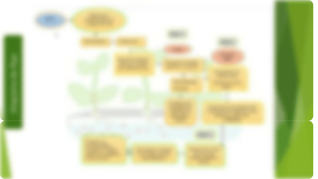 Unidad 3 - Fase 5 - Mecanismos celulares involucrados en la fitorremediación Diagrama de Flujo (1)._dic7abe3xnb_page3