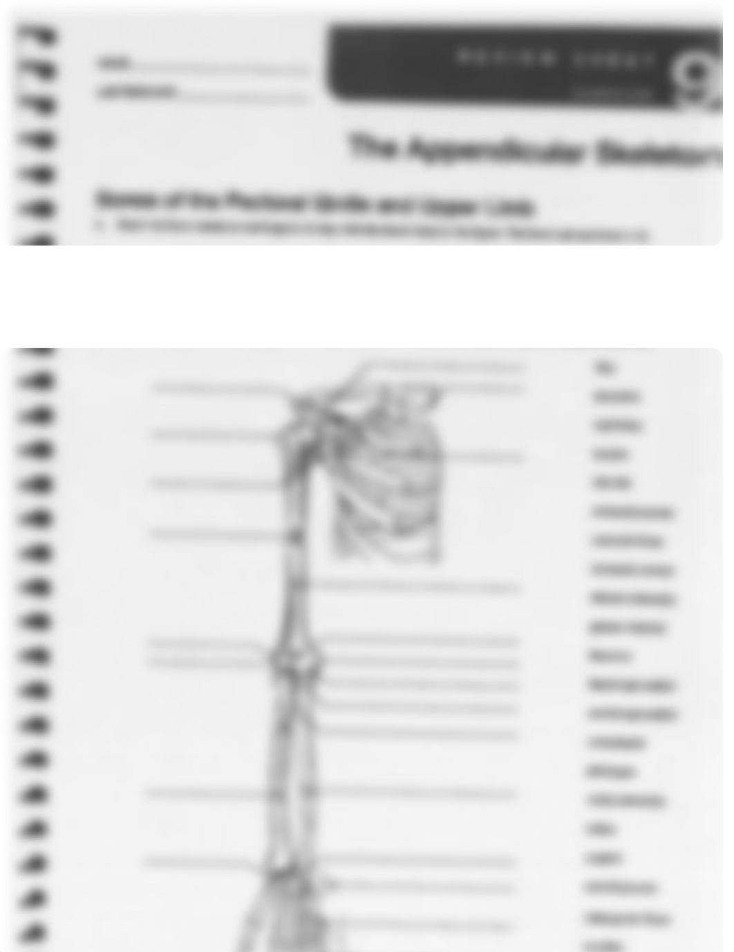 Appendicular Skeleton WS Ex 9.pdf_dica79v0rfv_page1