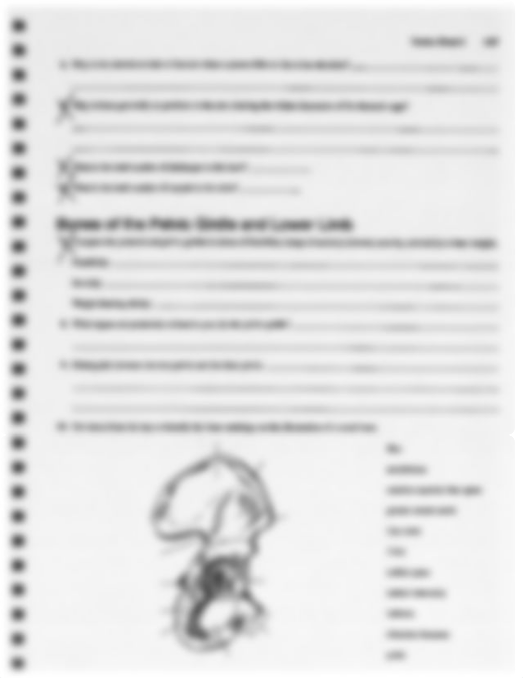 Appendicular Skeleton WS Ex 9.pdf_dica79v0rfv_page3