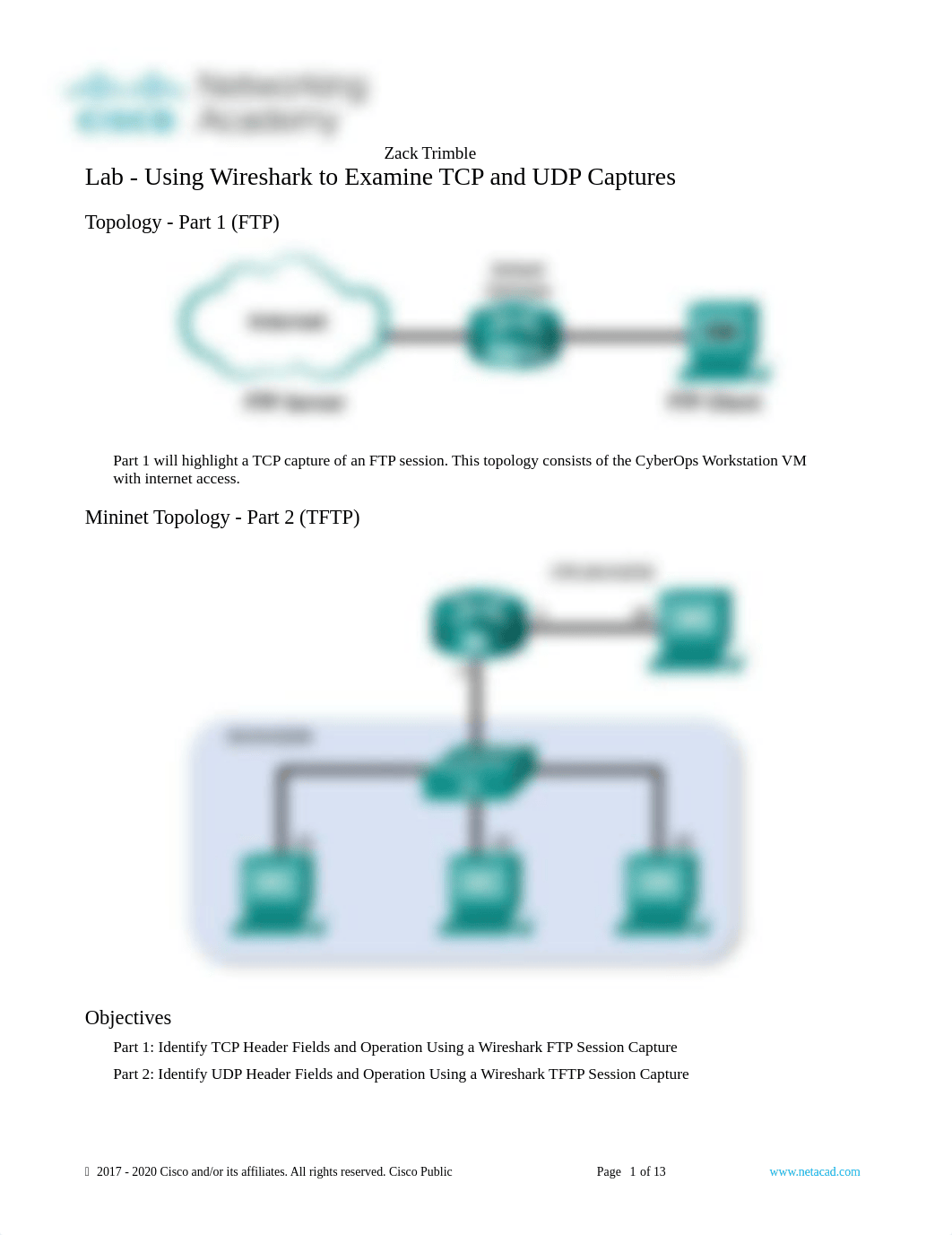 10.4.3 Lab - Using Wireshark to Examine TCP and UDP Captures.docx_dicei911bto_page1